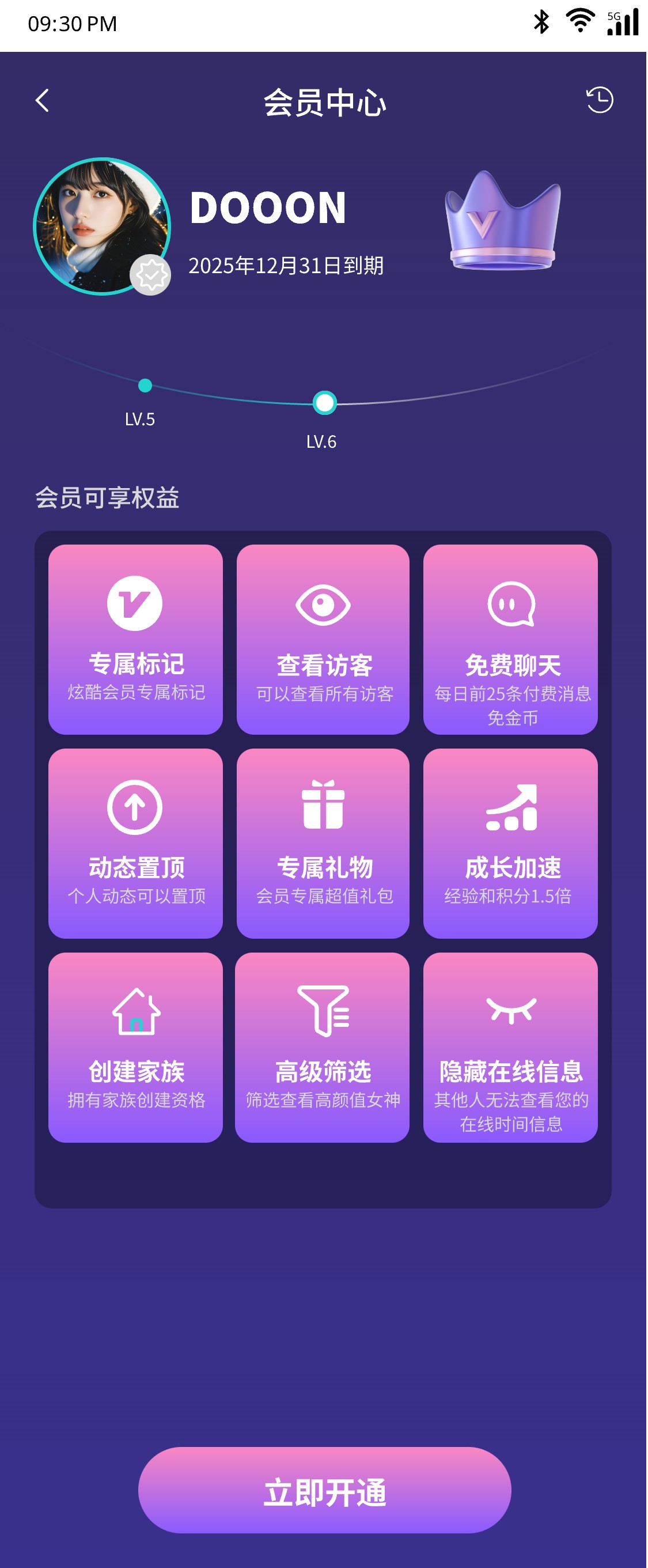 Chat Interface